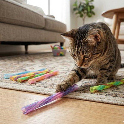 jeux pour chat tubes multicolores chat jouant salon