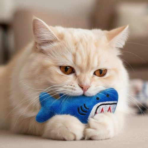 jouet chat animal en peluche requin chat mordant