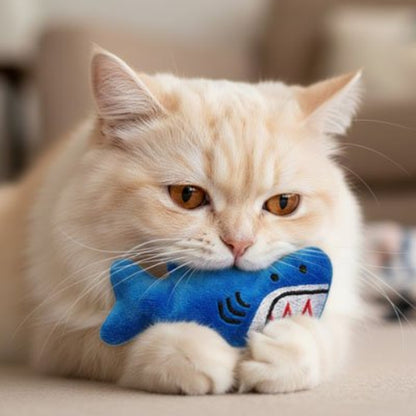 jouet chat animal en peluche requin chat mordant