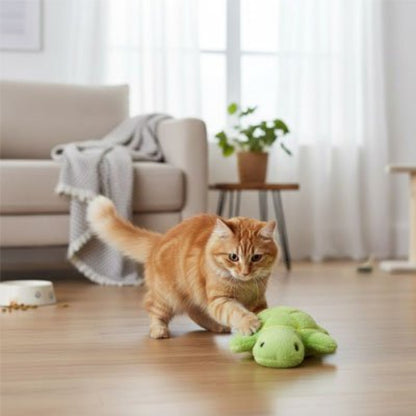 jouet chat animal en peluche tortue chat jouant