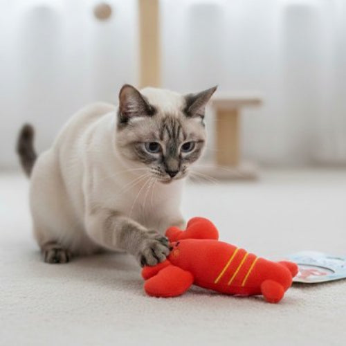 jouet chat animaux marins homard chat jouant