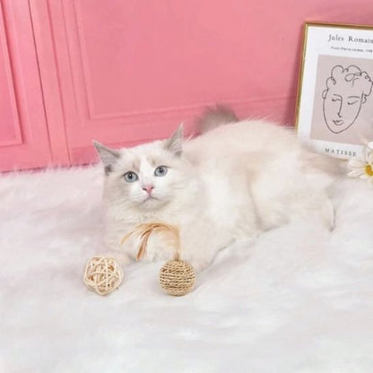 jouet chat balles en sisal chat allonge salon