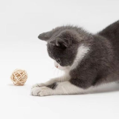 jouet chat balles en sisal chat allonge 