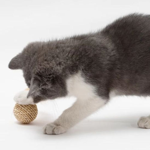 jouet chat balles en sisal chat debout