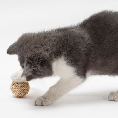 jouet chat balles en sisal chat debout