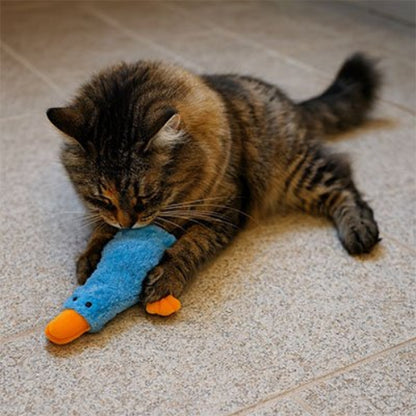 jouet chat canard bleu chat jouant