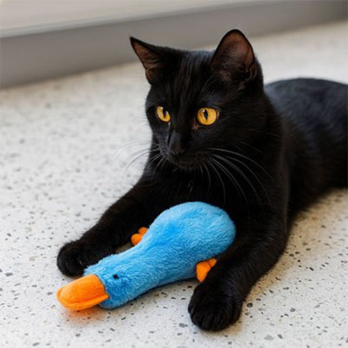 jouet chat canard chat allonge