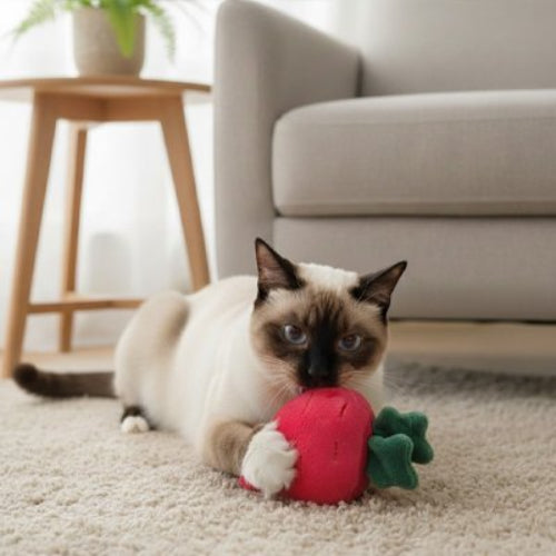 jouet chat carotte rouge chat allonge salon