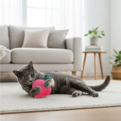 jouet chat carotte rouge chat jouant salon