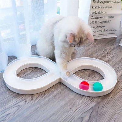 jouet chat circuit ferme chat jouant salon