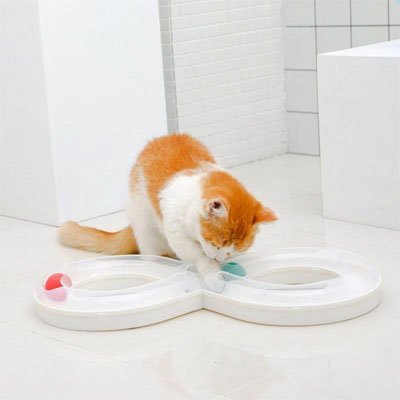 jouet chat circuit ferme chat jouant