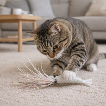 jouet chat crevette mignonne chat jouant