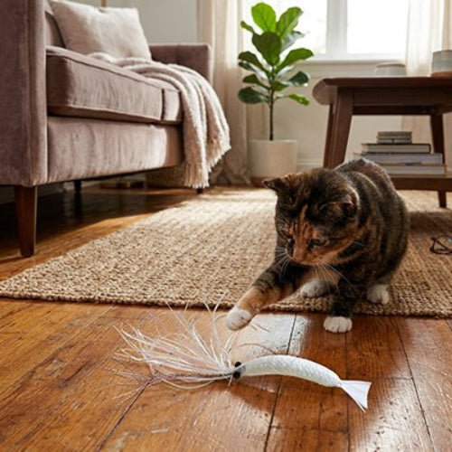 jouet chat crevette mignonne salon chat jouant