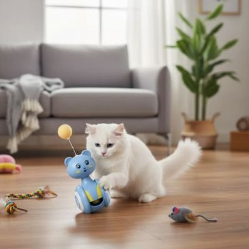jouet chat design interactif avec balle chat jouant salon
