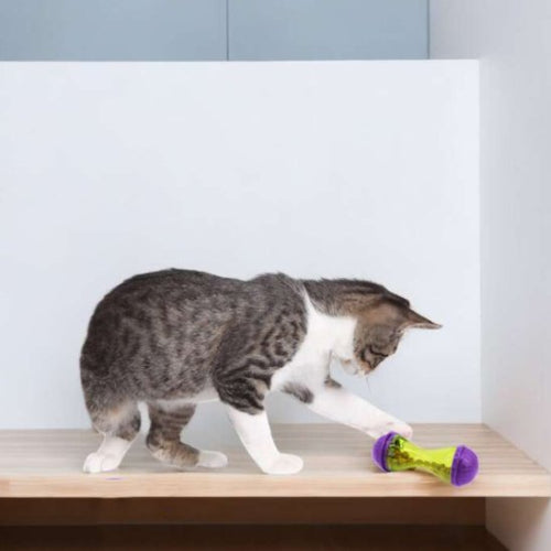 jouet chat distributeur interactif chat jouant