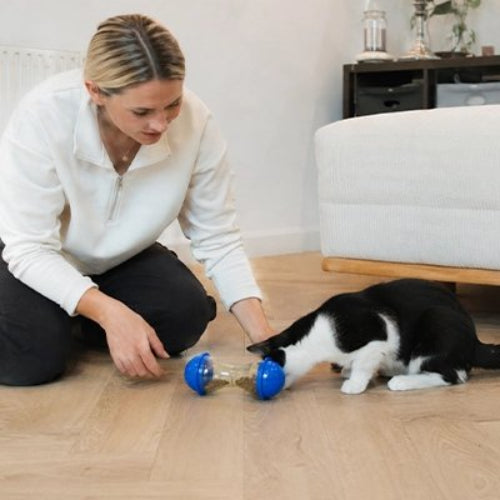 jouet chat distributeur ludique maitresse avec chat
