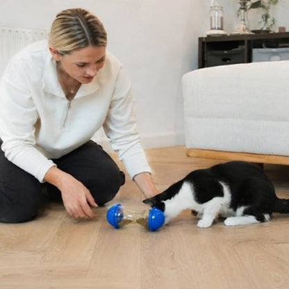 jouet chat distributeur ludique maitresse avec chat
