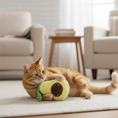 jouet chat fruit ludique avocat chat allonge salon