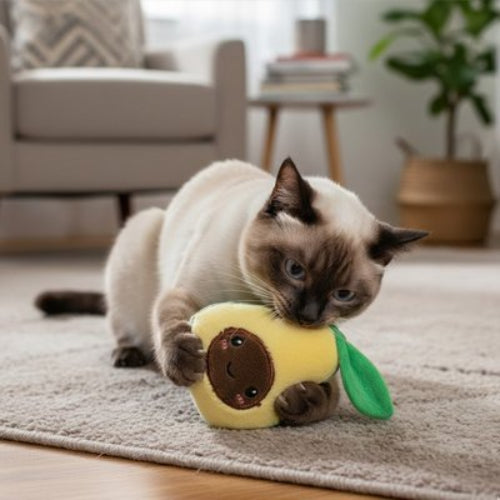 jouet chat fruit ludique avocat chat mordant salon