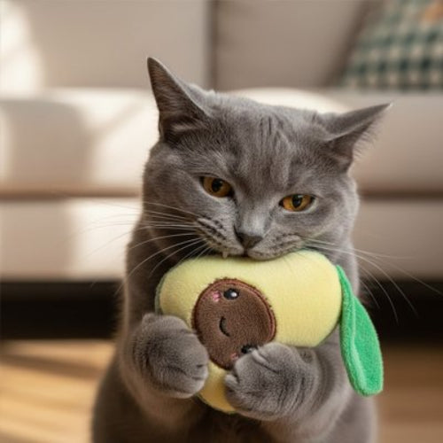 jouet chat fruit ludique avocat chat mordant