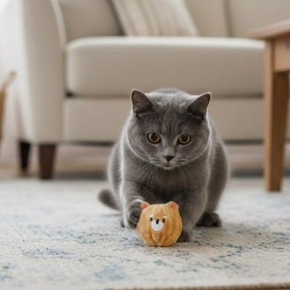 jouet chat interactif balle ourson marron chat allonge