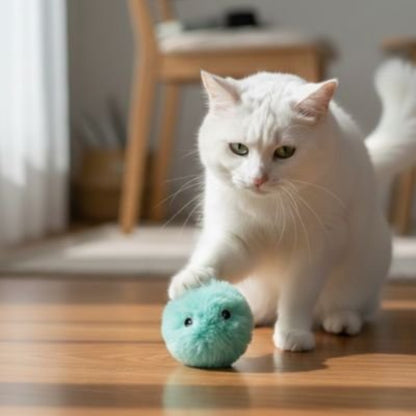 jouet chat interactif balle sonore vert chat jouant
