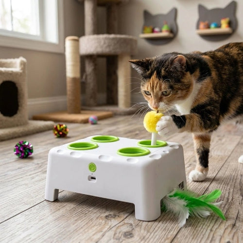 jouet chat interactif blanc chat attrapant