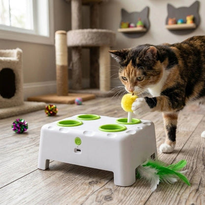 jouet chat interactif blanc chat attrapant