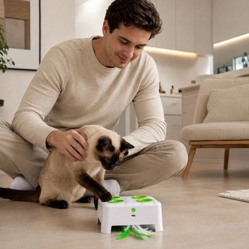 jouet chat interactif blanc chat jouant avec maitre