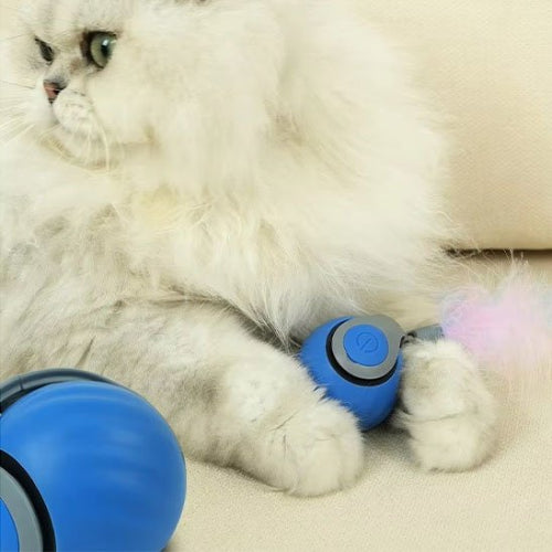jouet chat interactif bleu boule electrique intelligente chat jouant