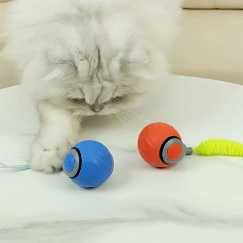 jouet chat interactif bleu rouge boule electrique intelligente chat
