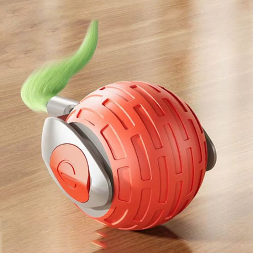 jouet chat interactif boule roulante automatique orange