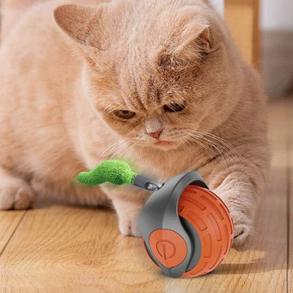jouet chat interactif boule roulante automatique orange chat jouant