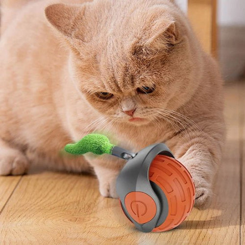 jouet chat interactif boule roulante automatique orange chat jouant