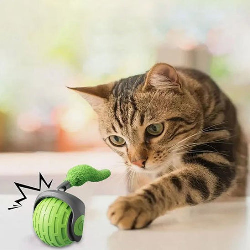 jouet chat interactif boule roulante automatique verte chat jouant