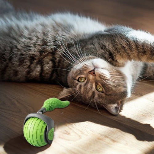 jouet chat interactif boule roulante automatique verte chat allonge