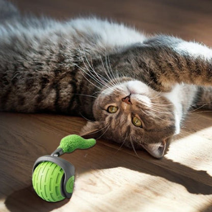 jouet chat interactif boule roulante automatique verte chat allonge