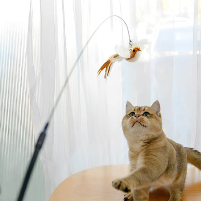 jouet chat interactif canne a peche flexible oiseau marron