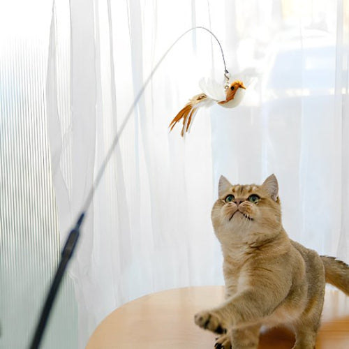jouet chat interactif canne a peche flexible oiseau marron