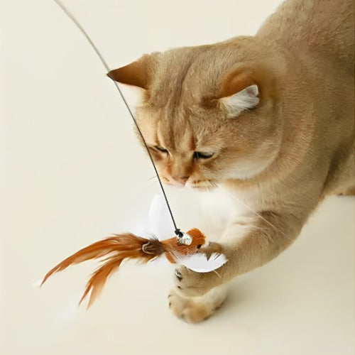 jouet chat interactif canne a peche flexible oiseau marron