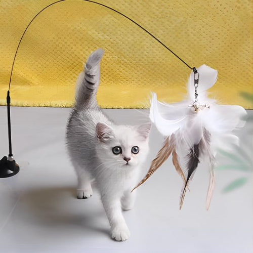 jouet chat interactif canne a peche flexible plume blanche