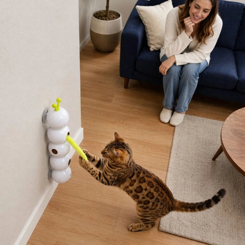 jouet chat interactif chenille chat jouant avec maitresse
