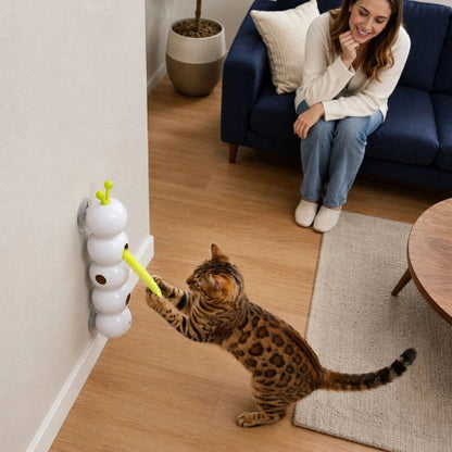 jouet chat interactif chenille chat jouant avec maitresse