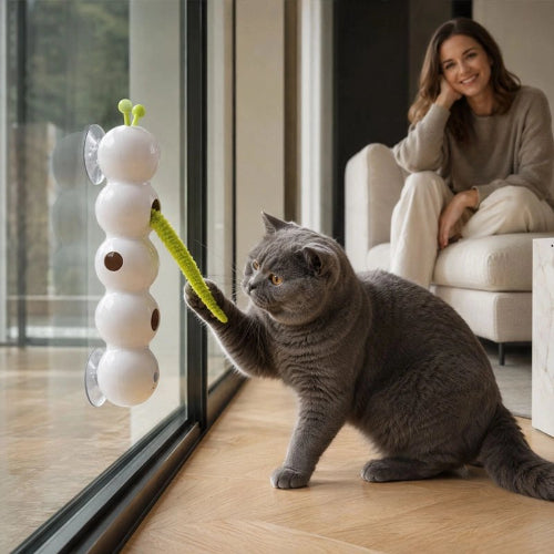 jouet chat interactif chenille maitresse avec chat