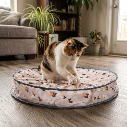 jouet chat interactif circulaire chat griffant