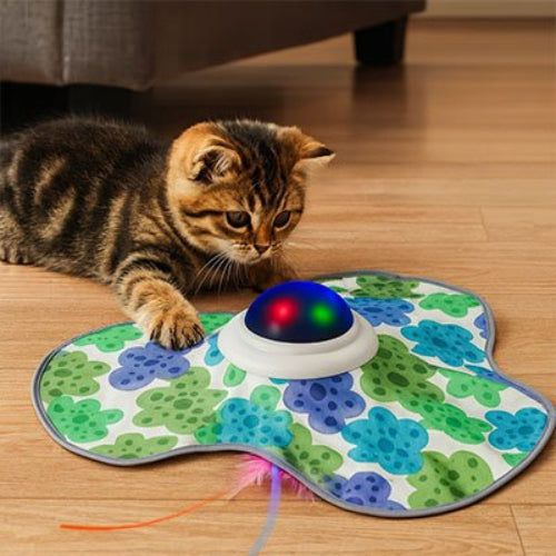 jouet chat interactif design floral chaton jouant