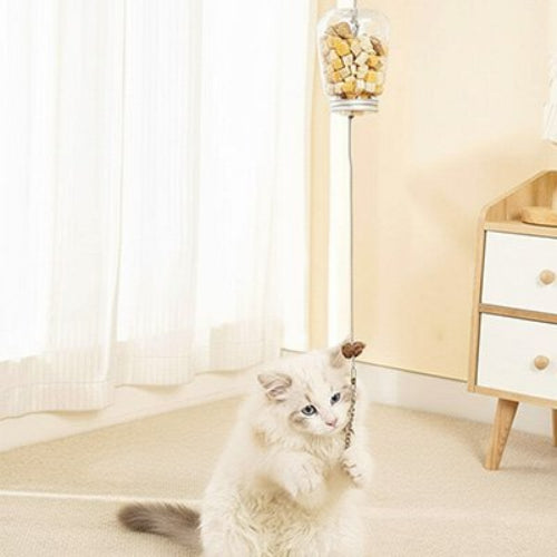 jouet chat interactif distributeur transparent avec plumes chat griffant
