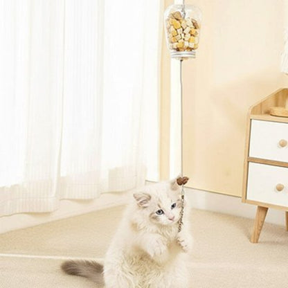 jouet chat interactif distributeur transparent avec plumes chat griffant