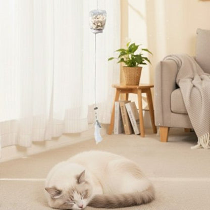 jouet chat interactif distributeur transparent avec plumes chat dormant