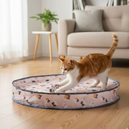 jouet chat interactif forme circulaire pliable chat jouant salon
